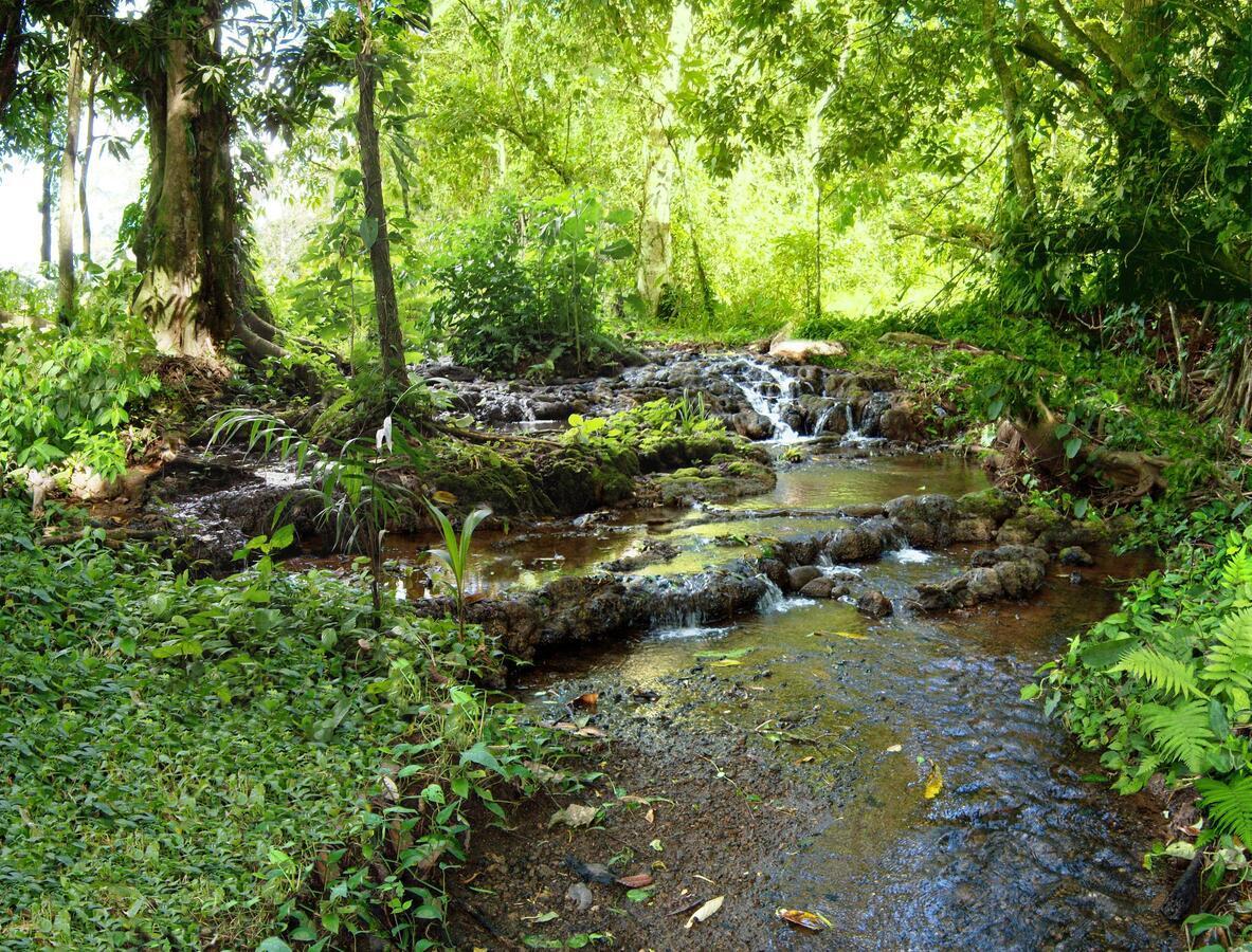 Bio Thermales Hot Springs Βίλα Palmera Εξωτερικό φωτογραφία